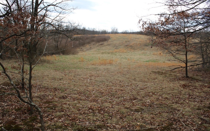 Lot 11 Cascade Ridge, Masontown, West Virginia 26542, ,Lots/land,For Sale,Cascade,10163694