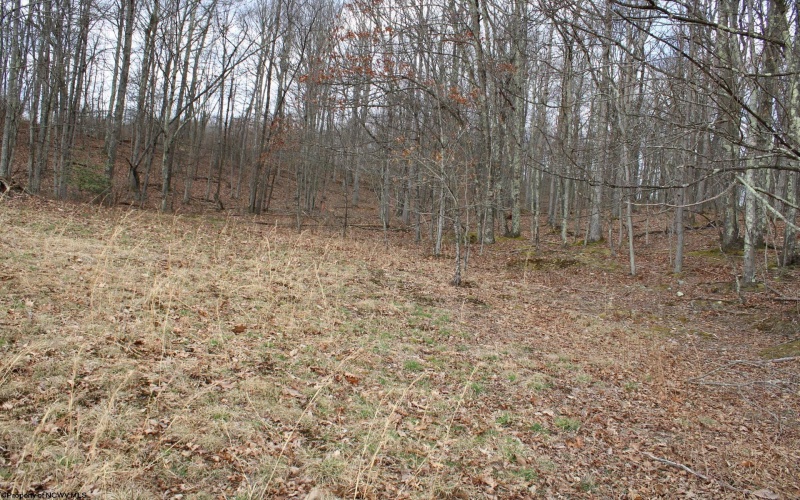 Lot 11 Cascade Ridge, Masontown, West Virginia 26542, ,Lots/land,For Sale,Cascade,10163694