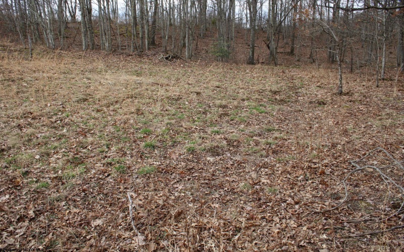 Lot 11 Cascade Ridge, Masontown, West Virginia 26542, ,Lots/land,For Sale,Cascade,10163694