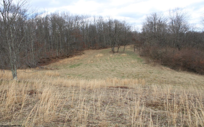 Lot 11 Cascade Ridge, Masontown, West Virginia 26542, ,Lots/land,For Sale,Cascade,10163694