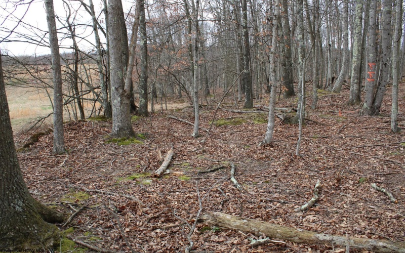 Lot 11 Cascade Ridge, Masontown, West Virginia 26542, ,Lots/land,For Sale,Cascade,10163694