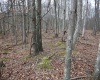 Lot 11 Cascade Ridge, Masontown, West Virginia 26542, ,Lots/land,For Sale,Cascade,10163694