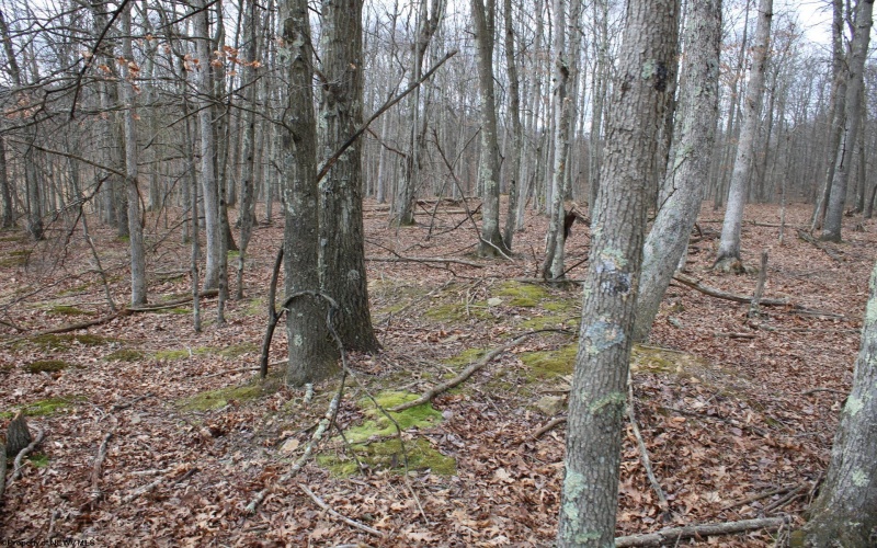 Lot 11 Cascade Ridge, Masontown, West Virginia 26542, ,Lots/land,For Sale,Cascade,10163694