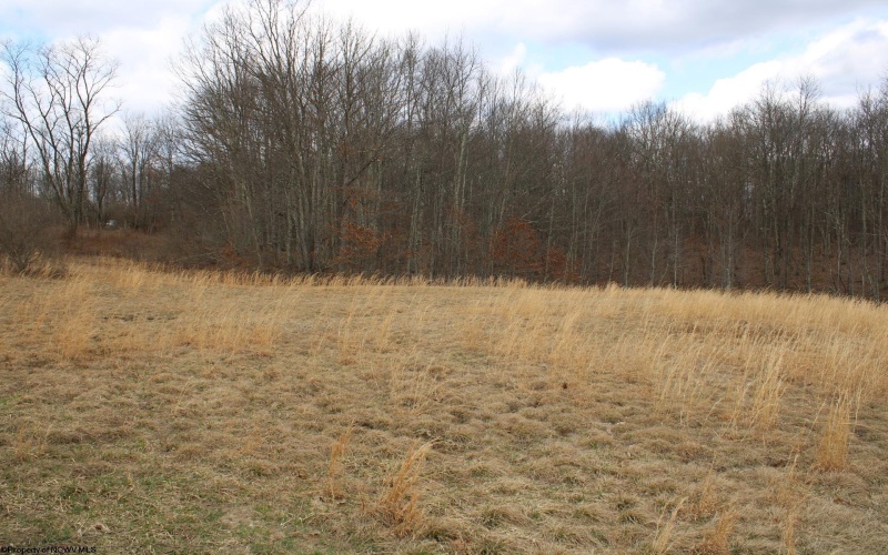 Lot 11 Cascade Ridge, Masontown, West Virginia 26542, ,Lots/land,For Sale,Cascade,10163694