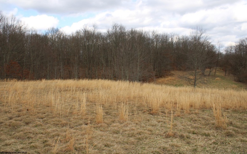 Lot 11 Cascade Ridge, Masontown, West Virginia 26542, ,Lots/land,For Sale,Cascade,10163694