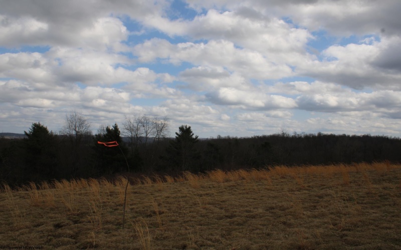 Lot 11 Cascade Ridge, Masontown, West Virginia 26542, ,Lots/land,For Sale,Cascade,10163694
