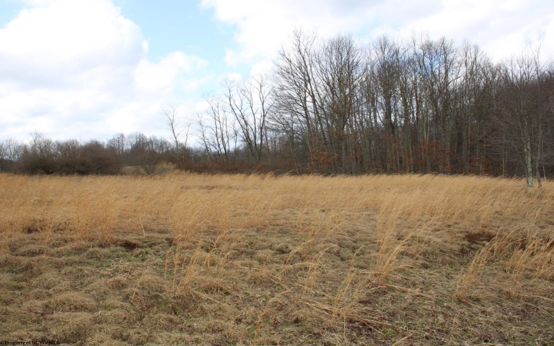 Lot 11 Cascade Ridge, Masontown, West Virginia 26542, ,Lots/land,For Sale,Cascade,10163694
