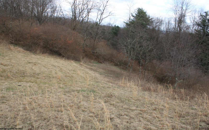 Lot 11 Cascade Ridge, Masontown, West Virginia 26542, ,Lots/land,For Sale,Cascade,10163694