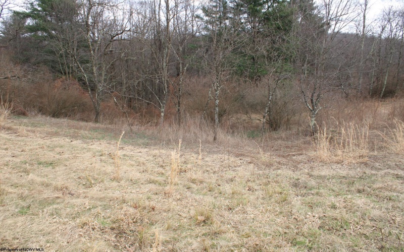 Lot 11 Cascade Ridge, Masontown, West Virginia 26542, ,Lots/land,For Sale,Cascade,10163694