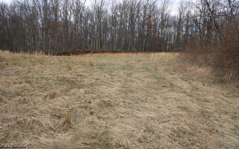 Lot 11 Cascade Ridge, Masontown, West Virginia 26542, ,Lots/land,For Sale,Cascade,10163694