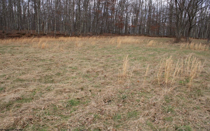 Lot 11 Cascade Ridge, Masontown, West Virginia 26542, ,Lots/land,For Sale,Cascade,10163694