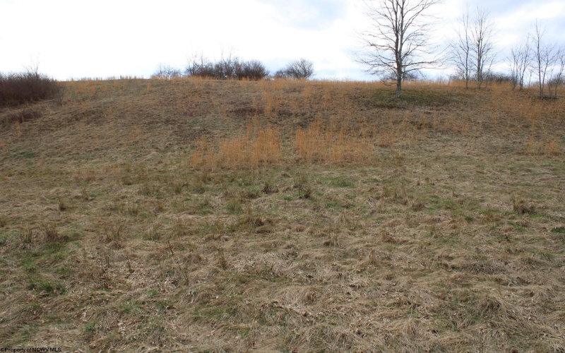 Lot 11 Cascade Ridge, Masontown, West Virginia 26542, ,Lots/land,For Sale,Cascade,10163694