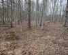 Lot 11 Cascade Ridge, Masontown, West Virginia 26542, ,Lots/land,For Sale,Cascade,10163694