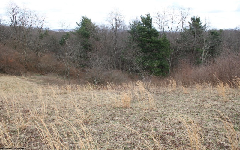 Lot 11 Cascade Ridge, Masontown, West Virginia 26542, ,Lots/land,For Sale,Cascade,10163694