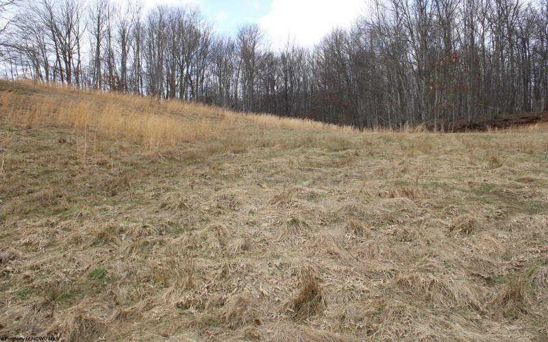 Lot 11 Cascade Ridge, Masontown, West Virginia 26542, ,Lots/land,For Sale,Cascade,10163694