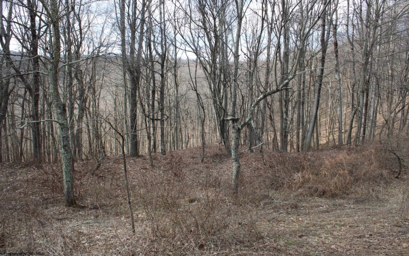 Lot 9 Cascade Ridge, Masontown, West Virginia 26542, ,Lots/land,For Sale,Cascade,10163695