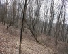 Lot 9 Cascade Ridge, Masontown, West Virginia 26542, ,Lots/land,For Sale,Cascade,10163695