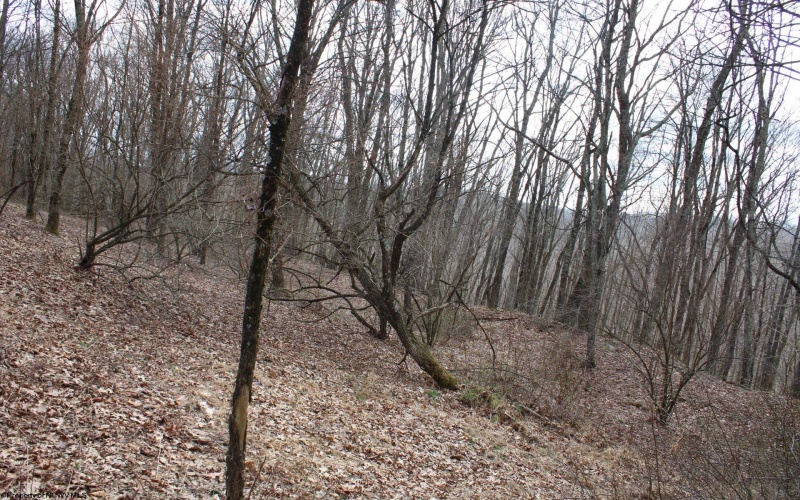 Lot 9 Cascade Ridge, Masontown, West Virginia 26542, ,Lots/land,For Sale,Cascade,10163695
