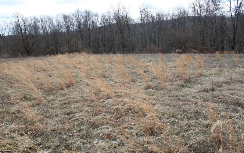 Lot 9 Cascade Ridge, Masontown, West Virginia 26542, ,Lots/land,For Sale,Cascade,10163695