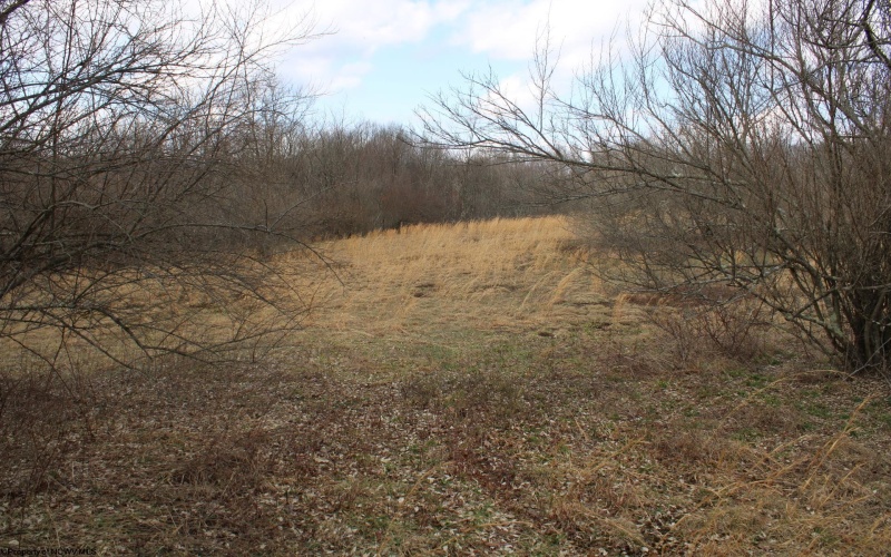 Lot 9 Cascade Ridge, Masontown, West Virginia 26542, ,Lots/land,For Sale,Cascade,10163695