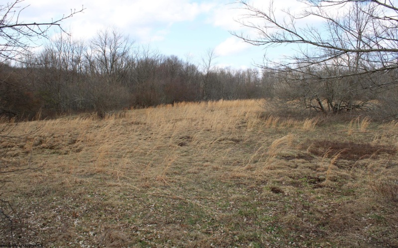 Lot 9 Cascade Ridge, Masontown, West Virginia 26542, ,Lots/land,For Sale,Cascade,10163695