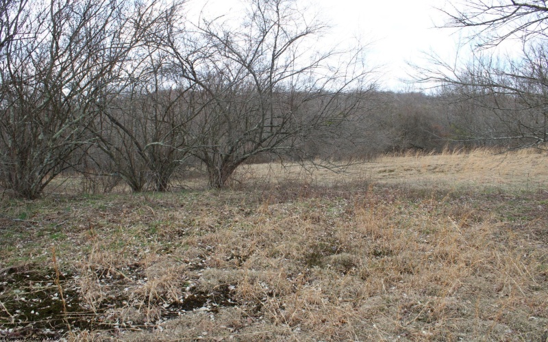 Lot 9 Cascade Ridge, Masontown, West Virginia 26542, ,Lots/land,For Sale,Cascade,10163695