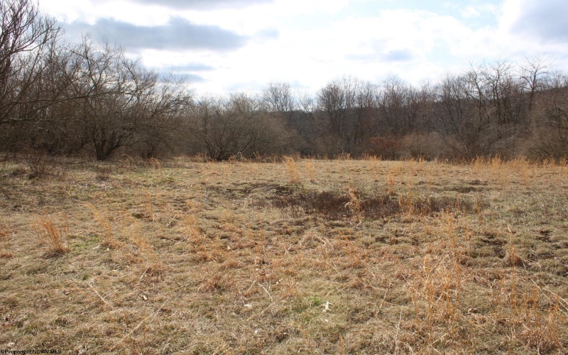Lot 9 Cascade Ridge, Masontown, West Virginia 26542, ,Lots/land,For Sale,Cascade,10163695