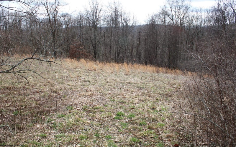 Lot 9 Cascade Ridge, Masontown, West Virginia 26542, ,Lots/land,For Sale,Cascade,10163695