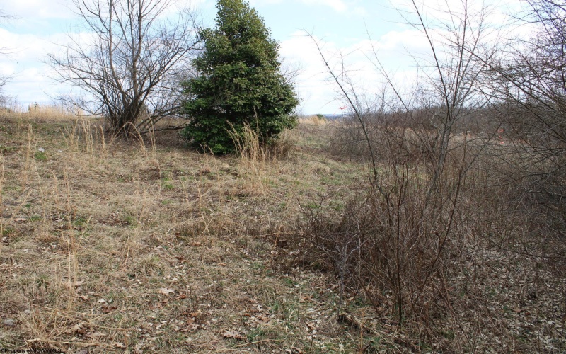 Lot 9 Cascade Ridge, Masontown, West Virginia 26542, ,Lots/land,For Sale,Cascade,10163695