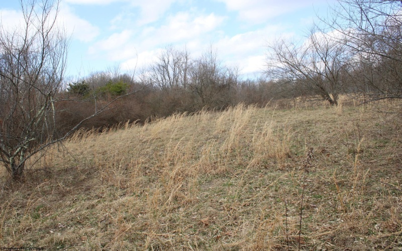 Lot 9 Cascade Ridge, Masontown, West Virginia 26542, ,Lots/land,For Sale,Cascade,10163695