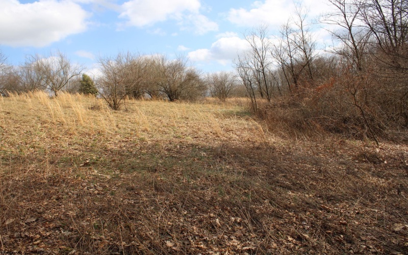 Lot 9 Cascade Ridge, Masontown, West Virginia 26542, ,Lots/land,For Sale,Cascade,10163695
