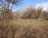 Lot 9 Cascade Ridge, Masontown, West Virginia 26542, ,Lots/land,For Sale,Cascade,10163695