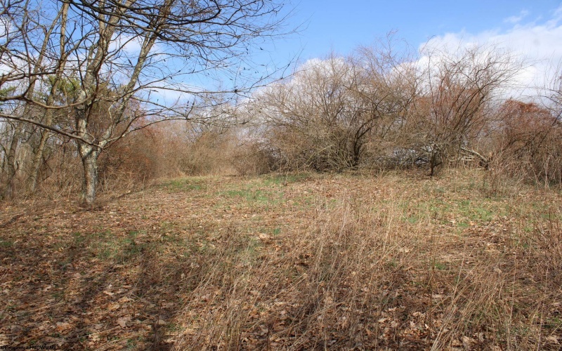 Lot 9 Cascade Ridge, Masontown, West Virginia 26542, ,Lots/land,For Sale,Cascade,10163695