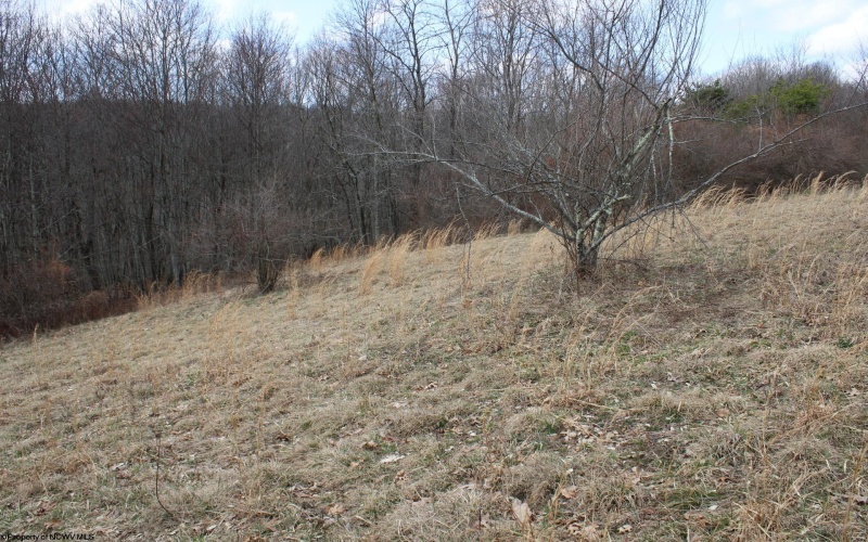 Lot 9 Cascade Ridge, Masontown, West Virginia 26542, ,Lots/land,For Sale,Cascade,10163695