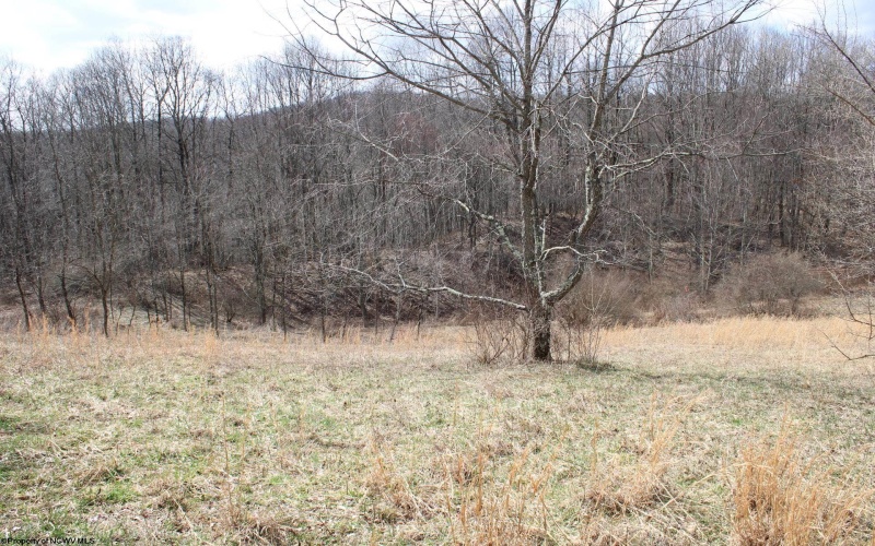 Lot 9 Cascade Ridge, Masontown, West Virginia 26542, ,Lots/land,For Sale,Cascade,10163695