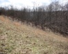 Lot 9 Cascade Ridge, Masontown, West Virginia 26542, ,Lots/land,For Sale,Cascade,10163695