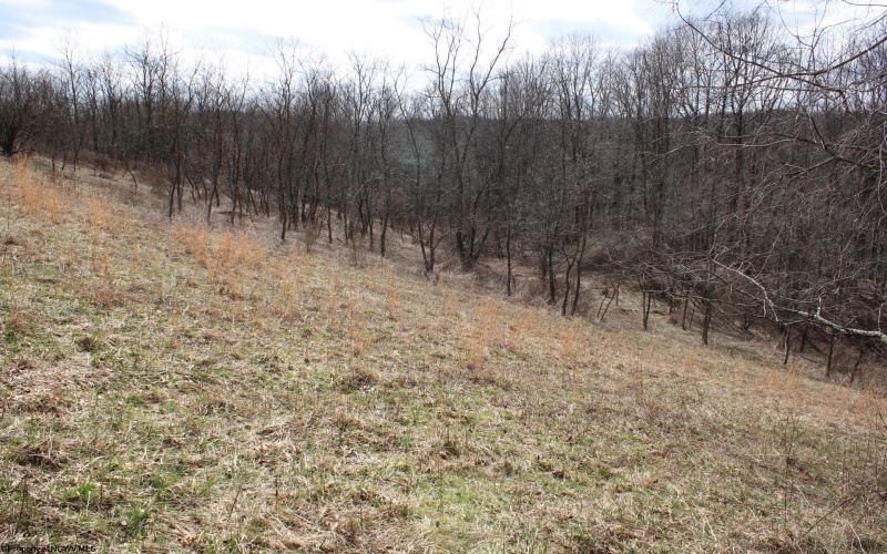 Lot 9 Cascade Ridge, Masontown, West Virginia 26542, ,Lots/land,For Sale,Cascade,10163695