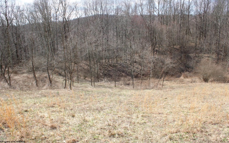 Lot 9 Cascade Ridge, Masontown, West Virginia 26542, ,Lots/land,For Sale,Cascade,10163695