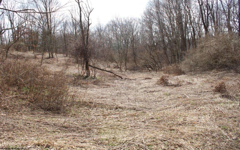 Lot 9 Cascade Ridge, Masontown, West Virginia 26542, ,Lots/land,For Sale,Cascade,10163695