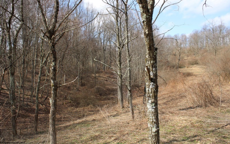 Lot 9 Cascade Ridge, Masontown, West Virginia 26542, ,Lots/land,For Sale,Cascade,10163695