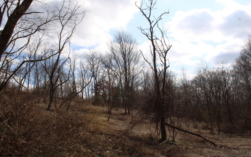 Lot 9 Cascade Ridge, Masontown, West Virginia 26542, ,Lots/land,For Sale,Cascade,10163695