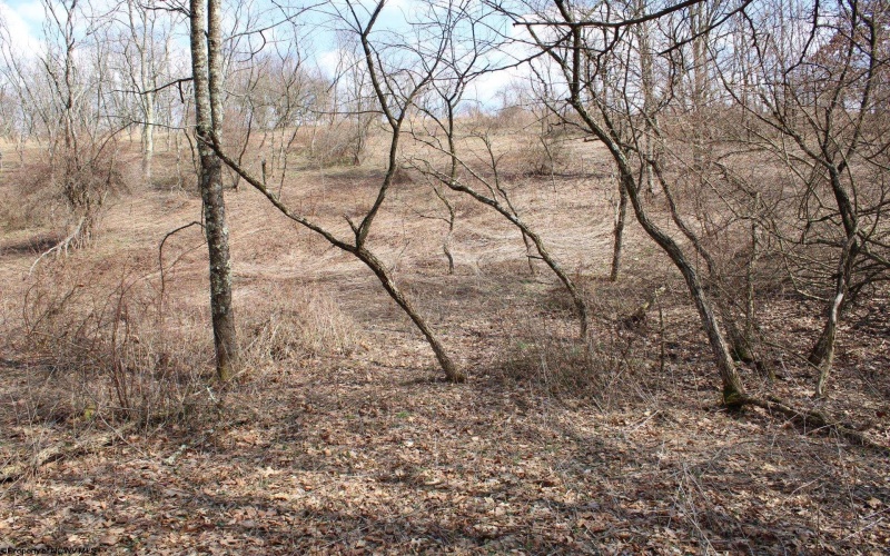 Lot 9 Cascade Ridge, Masontown, West Virginia 26542, ,Lots/land,For Sale,Cascade,10163695