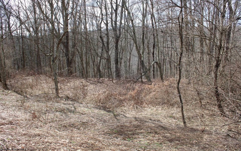 Lot 9 Cascade Ridge, Masontown, West Virginia 26542, ,Lots/land,For Sale,Cascade,10163695