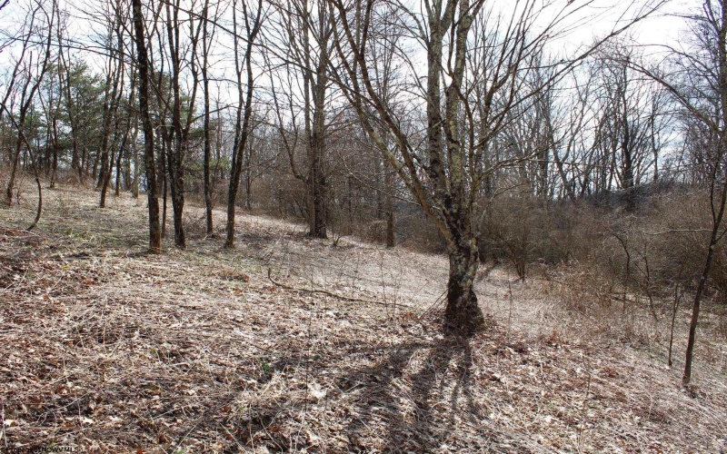 Lot 9 Cascade Ridge, Masontown, West Virginia 26542, ,Lots/land,For Sale,Cascade,10163695