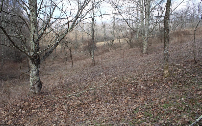Lot 9 Cascade Ridge, Masontown, West Virginia 26542, ,Lots/land,For Sale,Cascade,10163695