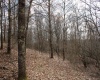 Lot 9 Cascade Ridge, Masontown, West Virginia 26542, ,Lots/land,For Sale,Cascade,10163695