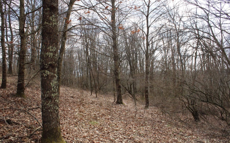 Lot 9 Cascade Ridge, Masontown, West Virginia 26542, ,Lots/land,For Sale,Cascade,10163695
