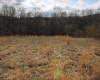 Lot 9 Cascade Ridge, Masontown, West Virginia 26542, ,Lots/land,For Sale,Cascade,10163695