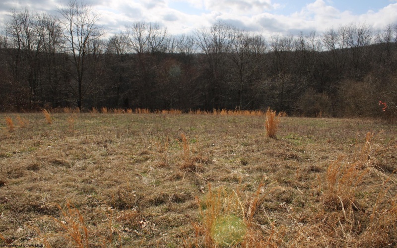 Lot 9 Cascade Ridge, Masontown, West Virginia 26542, ,Lots/land,For Sale,Cascade,10163695