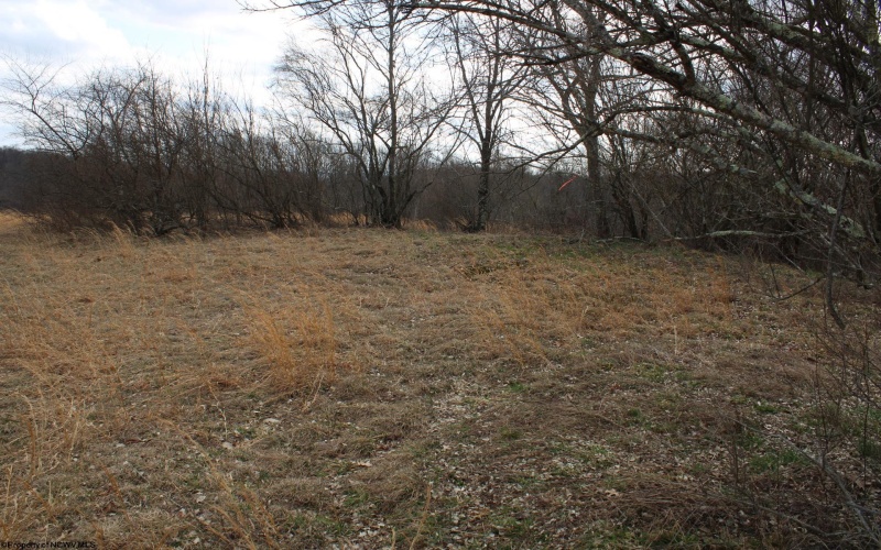 Lot 9 Cascade Ridge, Masontown, West Virginia 26542, ,Lots/land,For Sale,Cascade,10163695